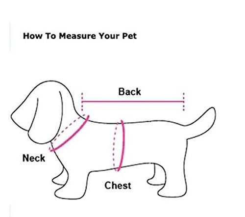 New-Cute-Pet-Dog-Princess-T-shirt-Clothes-Vest-Summer-Coat-Puppy-Costumes-OutfitSize-XSSML