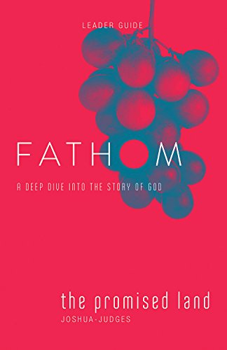 Preisvergleich Produktbild FATHOM BIBLE STUDIES THE PROMI