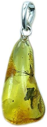Rare Natural Baltic Amber with Insect Inclusion &amp; Sterling Silver Pendant