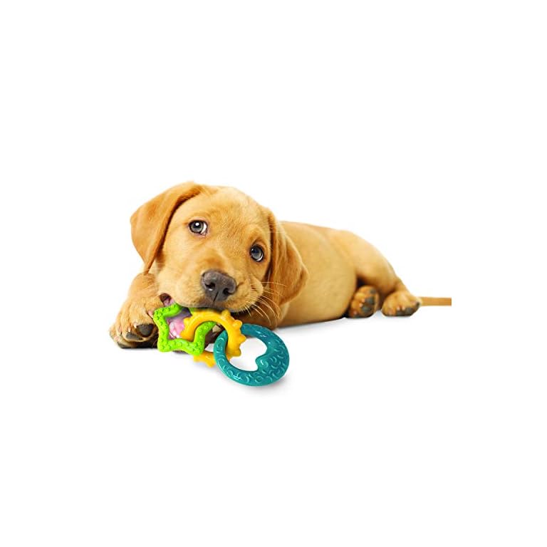 Nylabone Puppy Teething Rings, 6 x 2.9 x 3 Inches, Multicolour