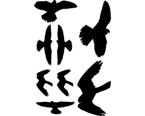 Wandtattoo Vogelschutzaufkleber Falken-Set in 5 Größen und 25 Farben (45X30cm schwarz) - 5