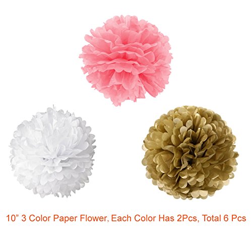 Alles Gute zum Geburtstag Dekorationen Banner mit Gewebe Pom Poms Blumen und Latex Party Ballons von Paxcoo - 4