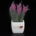 Produktbild JIANG Fahrzeug Kreative Ornamente, simulierte Blume, Zeolith, Parfüm-Set, Auto Dekoration, Dekoration, Miniascape, Blumentopf Kultur, Pulver Lavendel