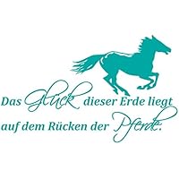 Pferde Zitate Sprüche