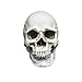 Produktbild Zubita Entfernbarer Menschlicher Schädel, Geschnitzte Schädel Kopf Modell Deko, Totenkopf Halloween/Room Escape Requisiten/Spukhaus Dekoration, Circa 7.0 * 9.0cm