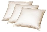 3 x Sofa Federkissen 50x50 cm (echte Federn) robust und formstabil 3 x Sofa Federkissen 50x50 cm (echte Federn) robust und formstabil