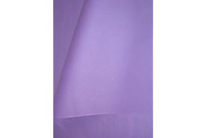 Creavvee Lot de 30 Feuilles de Papier de Soie, Violet Clair, Taille Unique