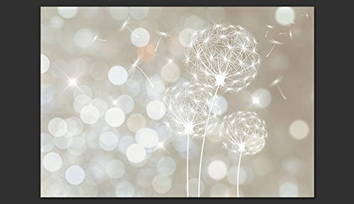 FOTOTAPETE VLIES PREMIUM: 400×280 cm (BxH) – bedruckt auf deutscher Premium Vliesleinwand – Keine Papiertapete ! – 3 Farben zur Auswahl – Top – Tapete – Wandbilder XXL – Wandbild – Bild – Fototapeten – Tapeten – Wandtapete – Pusteblume Blumen bokeh Abstrakt f-C-0040-a-b - 7