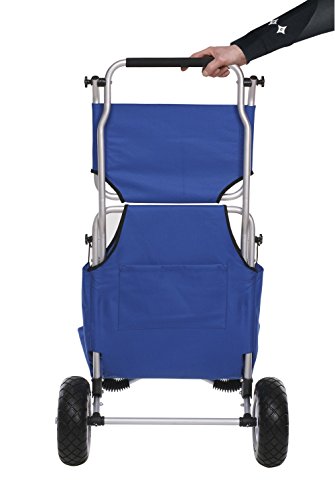 Ascan Beachbuggy Transportwagen und Sitz mit Sonnendach - 4