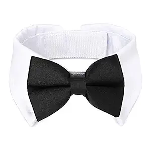 Segarty Black Bow Tie Dog Collar, Cute Tux Dog Bowtie with Handcrafted Adjustable White Collar Formal Pet Cats Puppies Necktie for Small Medium Boy Dog Birthday Gift