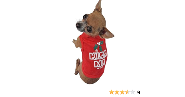 Startup 40 Fish Tank 40 X 25 X 25 Cm Amazon Co Uk Pet Supplies