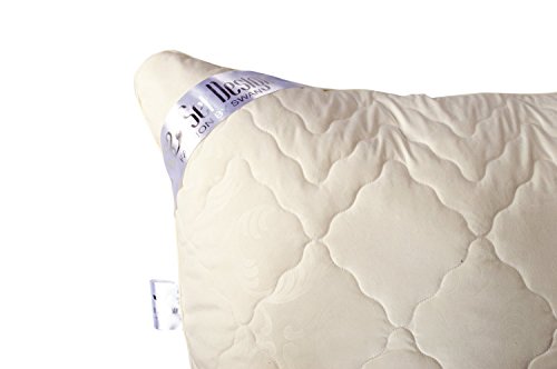 Angebot DOPPELPACK: 2x Sei Design® Premium Mikrofaser Kopfkissen Aphrodite. Füllung aus 3-D Faserkügelchen – sehr weich und angenehm – Stützkraft regulierbar durch Reißverschluss. Eine eingearbeitete Kante verleiht dem Kissen eine besondere Elegance. (80×80, champagner) - 7