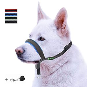 ILEPARK Correa de Adiestramiento para Perros de Piel Acolchado – Confortable al Tacto, el Collar para Perros Frena los Tirones y Deja de Tirar, Ajustable, Herramienta de Entrenamiento (S,Azul)