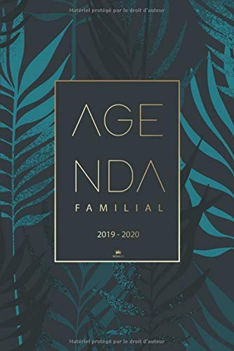 Télécharger Agenda Familial 2019 2020: Agenda Journalier de Août 2019 à Décembre 2020 pour 4 membres de la fa Francais PDF