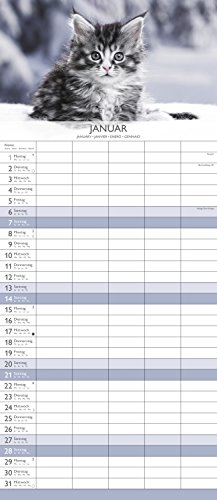 Book's Cover of Familientermine Kätzchen 2018