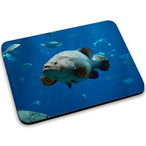 Leben im Meer 10030, Fisch, Designer Mousepad Unterlage Mauspad Maus-Pad Stark Anti Rutsch Unterseite für Optimalen Halt mit Lebhaftes Motiv Kompatibel mit Apple Magic Maus. Ideal für Gamer und für Grafikdesigner