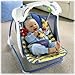Fisher-Price Deluxe Take-Along Swing