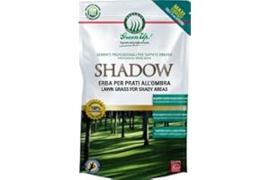 HERBATECH SEMI DI PRATO ERBA SHADOW RESISTENTE ALL'OMBRA DI FACILE MANUTENZIONE 1,2 KG PER 70 MQ AMDGarden