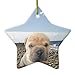 Produktbild Christmas Ornaments Shar Pei Puppy Beach Day Out Holiday Tree Ornament Both Sides Star Ceramic Ornament Crafts Christmas Gifts