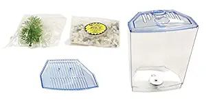 Penn Plax Betta Aquarium Tank Kit