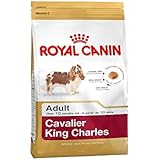 Royal Canin Cavalier King Charles 27 Adult 7,5 kg, 1er Pack (1 x 7.5 kg)
