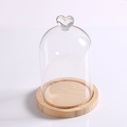 Gazechimp Glashaube Glasglocke Glassturz mit Holzboden Fairy Garten Terrarium Diy Landschaften Blumen Vase Haus Dekoration Herz - 9