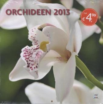 Orchideen Broschürenkalender 2013