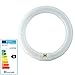 Produktbild Ringröhre 40 Watt Ringlampe Ringleuchte G10q rund Kreis Lampe Ring Leuchte Birne