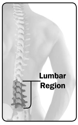 R?ckendehner Back Magic - 5