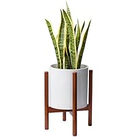 Suchergebnis auf Amazon.de für: Pflanzenständer: Garten