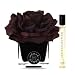 HERVÉ GAMBS Ecorce Fauve Room Spray 10 ml and Plum Couture Flower Diffuser Gift Box