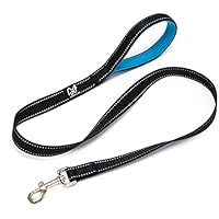 [Gesponsert]Happilax Premium Führleine, reflektierende Hundeleine mit gepolsterter Hand-Schlaufe aus robustem Nylon, schwarz, 1,50 m