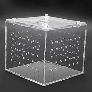 Durable Snake breeding Box, Transparent breeding Box, Sturdy 2MM Ventilation Holes for Tarantula Snail Cricket Gecko