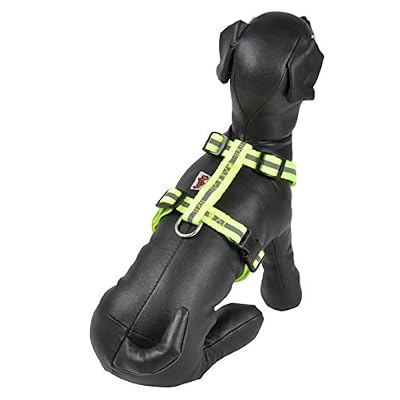CODICO L35 Harnais Réglable en Polypropylène avec Bande Réfléchissante pour Chien
