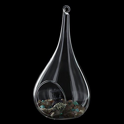 Gazechimp Transparent Kegelglas Wand Hängen Glas Vase Für Pflanzen Blumen Wohnzimmer Wand Dekor - 4
