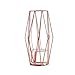 Produktbild Grilsrylyna Hydroponische Vase,Nordic Metall Licht Kreative Hydroponics Container Grüne Rose Blumenvase Metallverzierungen Wohnzimmer Schlafzimmer Dekorationen Diamant Gold,Exquisite Verarbeitung