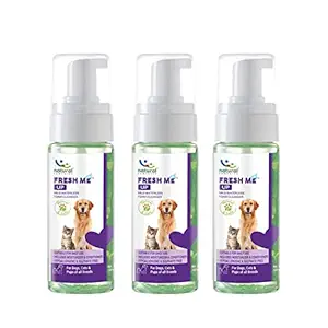 Natural Remedies Fresh Me Up Mild Waterless Foam Cleanser Dry Shampoo for Dogs, Cats and Pups of All Breeds, 140 ml x 3 (Pack of 3)