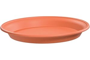 ALTUNA Stewart 2142034 42 cm Multi-Purpose Saucer - Orange/Terracotta