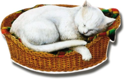 Magnettafel Katze – Mediterrane Design Metall Magnetpinnwand 60×40 cm – Memoboard Pinnwand mit Motiv: Tiere Haustiere Katzen Finca – inkl. 8 Magnete Katzen für Magnetwand – Original GUMA Magneticum® - 9