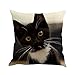 Produktbild DOGZI Kopfkissen, Kissen Ferkissen Schlafkissen - Haushalt Wohnen Heimtextilien Bettwaren Bettwäsche Katze Platz Dekoration Auto Sofa Schlafzimmer Kissenbezug