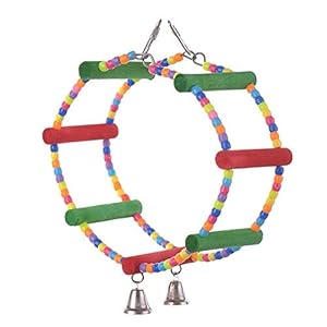 Arch Swing – Arnés de juguete para pájaros