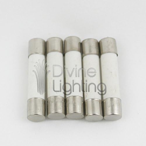 5 Qty. ABC 4A Fast-Blow Ceramic Fuse 4 Amp 250v ABC4A, ABC4 by Divine Lighting