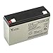 Price comparison product image Yuasa Sealed Lead Acid Battery Y12-6 6v 12ah Kids Toy Car Alarm Panel NP12-6 UPS Standby Power Emergency Lighting Mobility Scooter Lawnmower