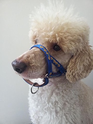 DOGMATIC-HEADCOLLAR-IN-PADDED-CUSHIONED-WEBBING-PCW-BLUE-SIZE-1