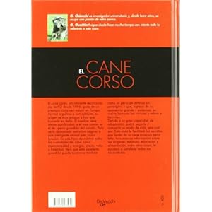 El cane corso (Animales)
