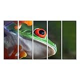 islandburner Cuadro Cuadros Impresión sobre Lienzo - Formato Grande - Cuadros Modernos Rana