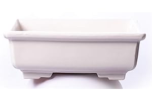 Alfareros Damian Canovas Maceta para Bonsai DE Barro Y ESMALTADA EN Color Blanco. Medidas 28X22X10CM.Modelo Kobe. con TU Compra TE REGALAMOS EL Plato.