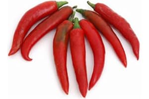 THAIFOODONLINE Fresh Thai Large Red Chillies (100g)