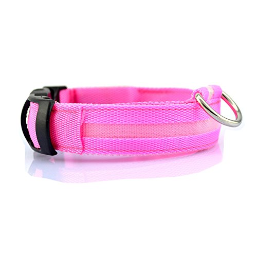 TQP-CK Collar para Perro Luz LED Seguridad Flashing Safety Dog Pet Collar Tag