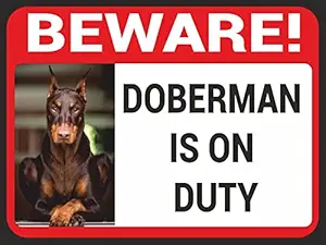 BEWARE DOBERMAN ON DUTY SIGN BOARD ON 5MM SUN BOARD